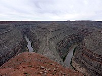 gooseneck (8).JPG